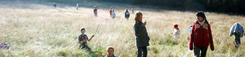 24.10.2008_15-00-46_H1S08_T1-Nikon_mini